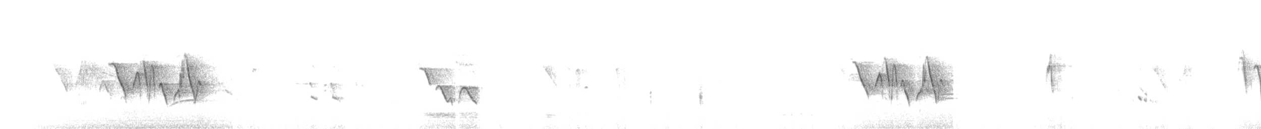 Tarabilla Terrestre - ML632580740