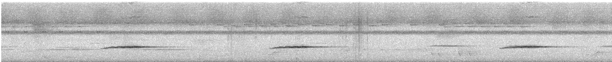 White-capped Monarch - ML632581891