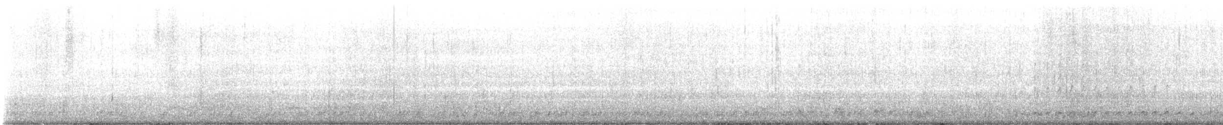 Black Scoter - ML632581901