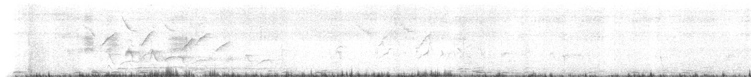 pigeon/dove sp. - ML632585159