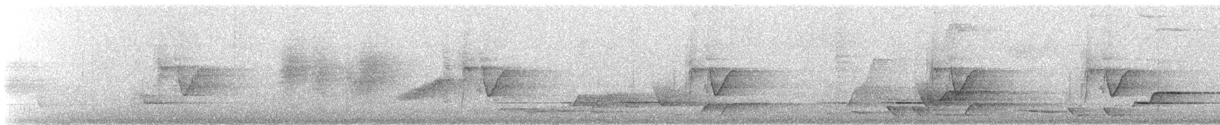 White-eared Monarch - ML632587268