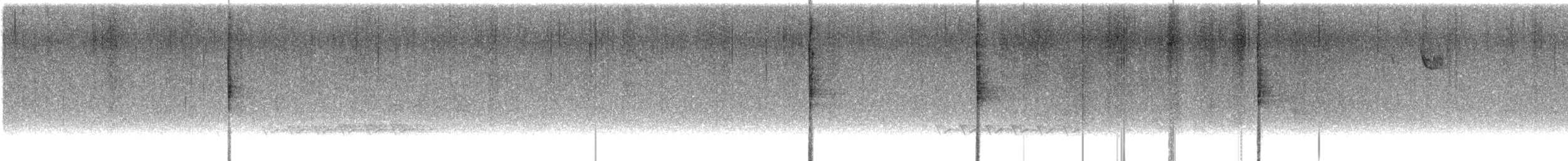 Louisiana Waterthrush - ML632587388