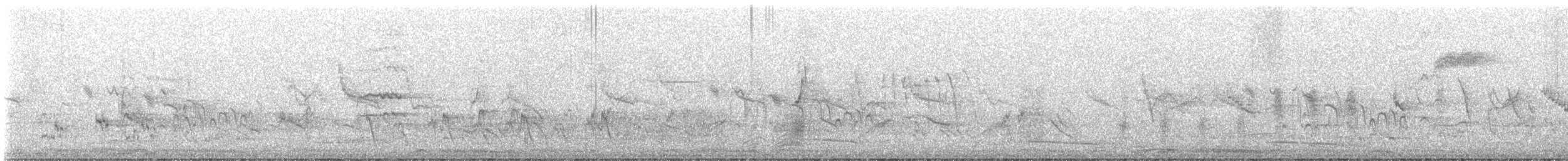 Turdus sp. - ML632587670