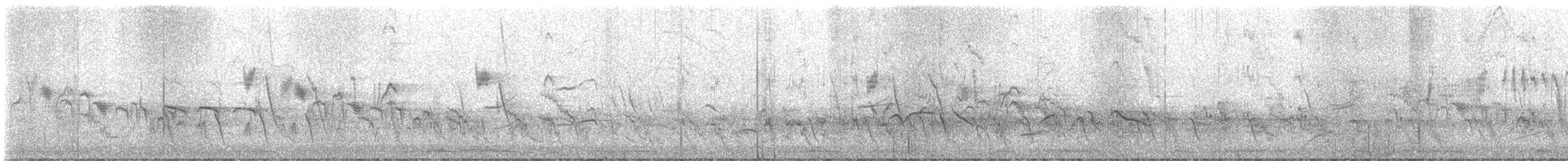 קיכלי Turdus בלתי-מזוהה - ML632587671