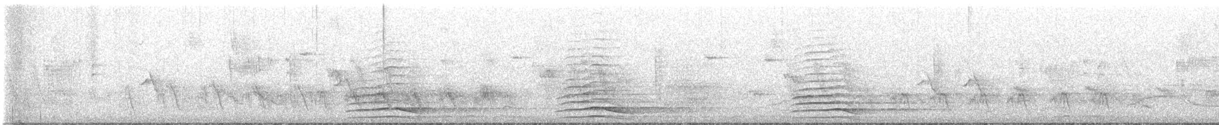 Turdus sp. - ML632587679