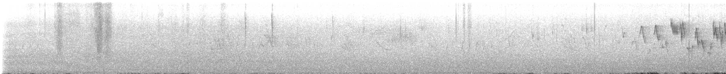 Pacific Wren - ML632589504