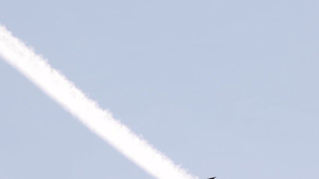 Turkey Vulture - ML632592337