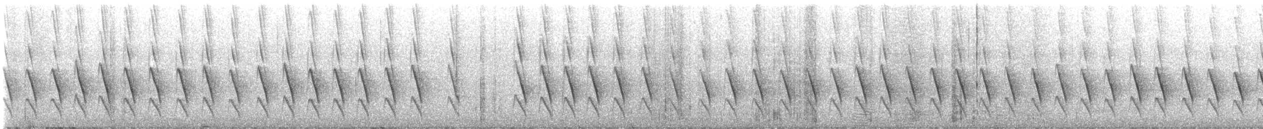 Yellow-plumed Honeyeater - ML632594391