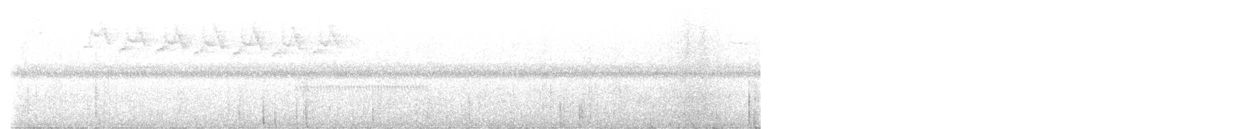 Broad-billed Fairywren - ML632597222