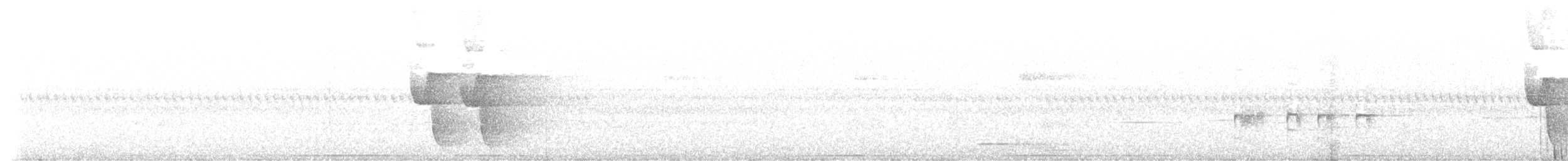 bird sp. - ML632597261