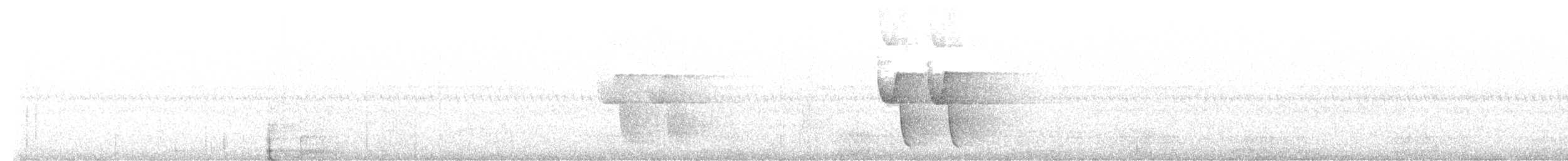 bird sp. - ML632597262