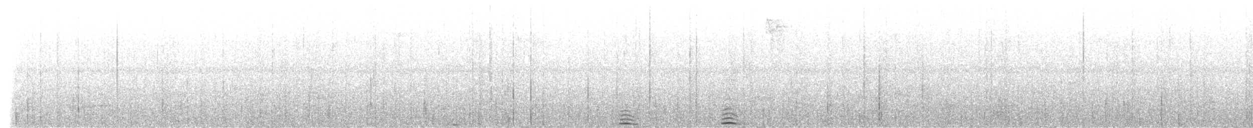 Broad-billed Fairywren - ML632597272