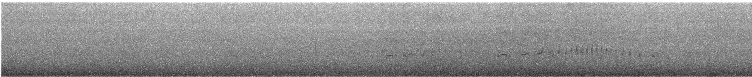 Surf Cinclodes - ML632599492