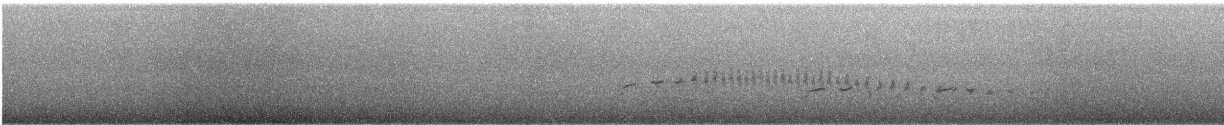 Surf Cinclodes - ML632599493