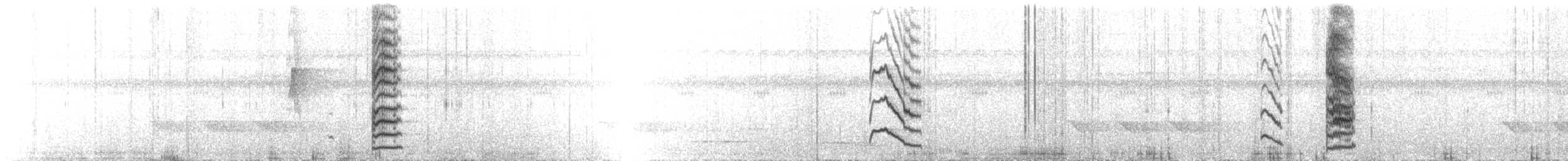 Chestnut-backed Antbird - ML632601605