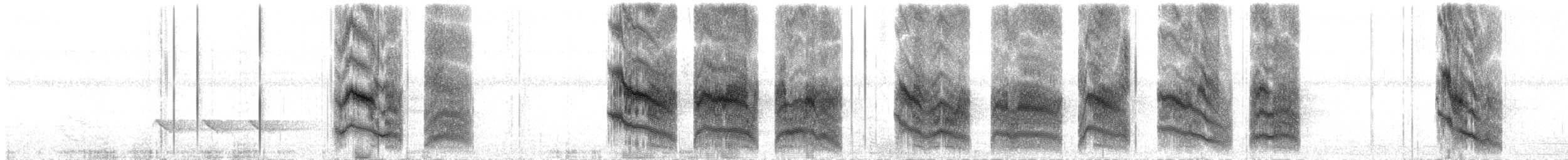 Bicolored Antbird - ML632601819