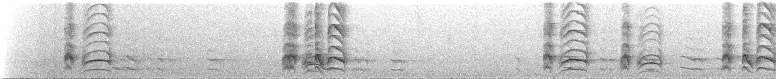 Great Kiskadee - ML632602483