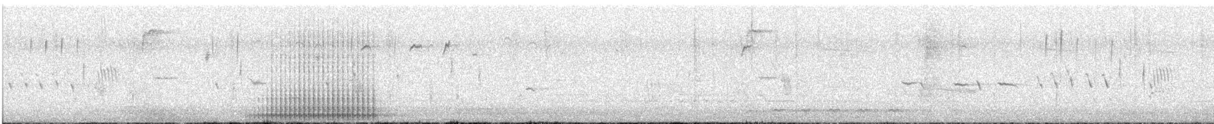 Pico Velloso - ML632602504