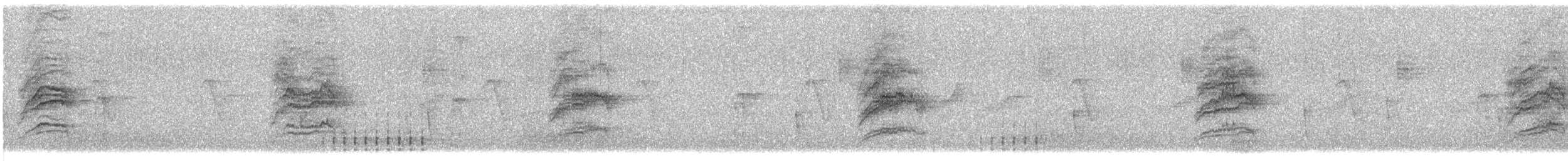 Hermit Thrush - ML632604602