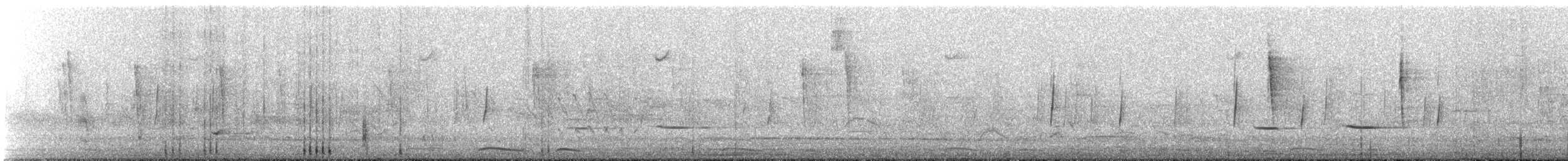 Copetón de Nutting/Salvadoreño - ML632604816