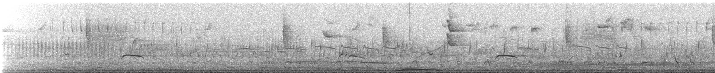 Copetón de Nutting/Salvadoreño - ML632604832