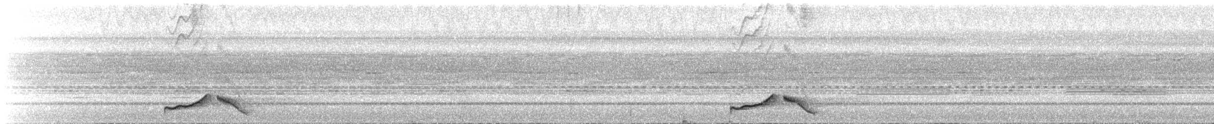 Common Pauraque - ML632605564