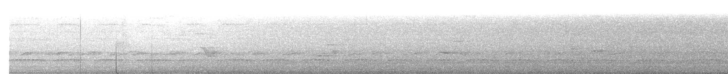 Tatama Tapaculo - ML632608247