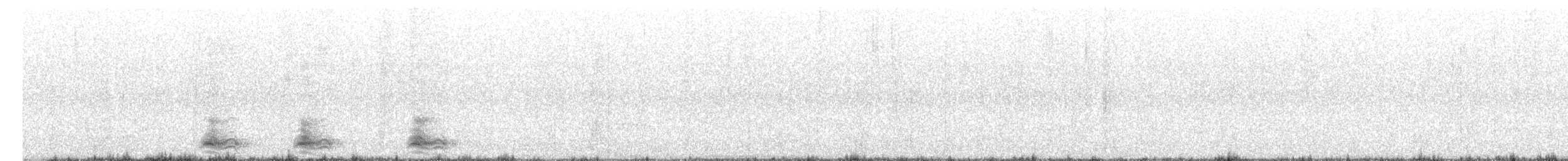 Corbeau à gros bec (culminatus) - ML632611038