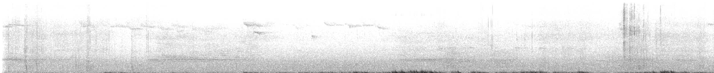 Green-backed Firecrown - ML632614792