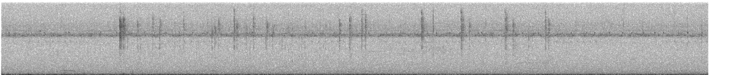 Mangrove Hummingbird - ML632618814