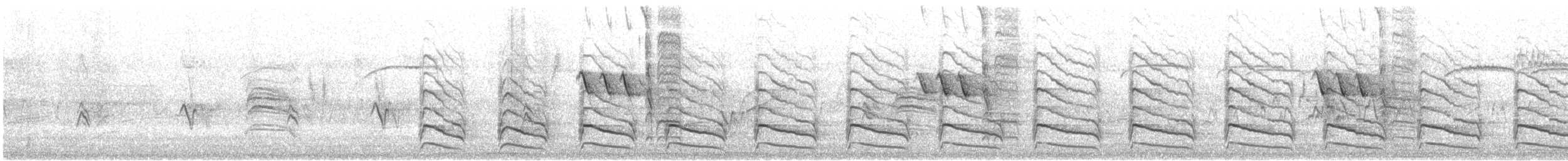 カタアカノスリ（elegans） - ML632626202