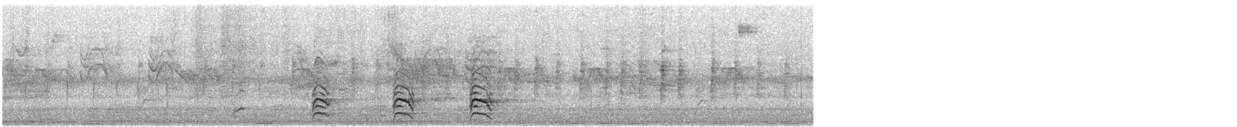 カタアカノスリ（elegans） - ML632626321