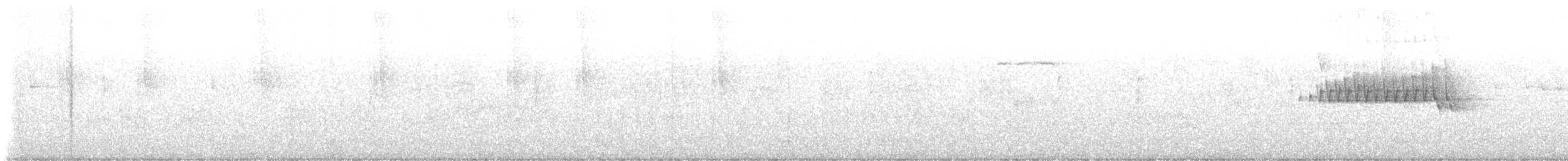 Pico Velloso - ML632629790