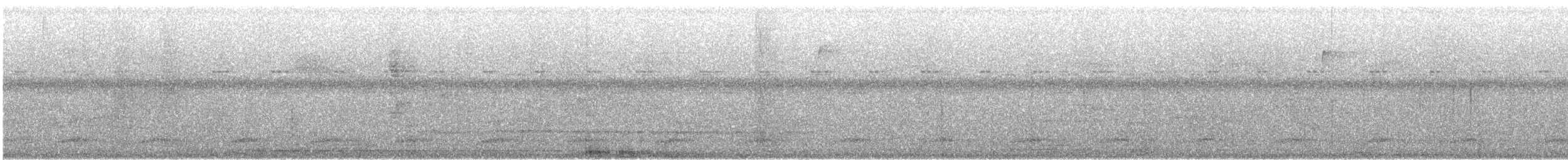 Mayan Antthrush - ML632629987