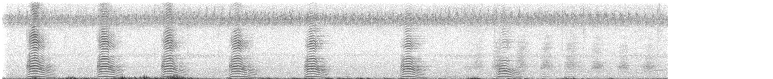 Tarro Australiano - ML632630611