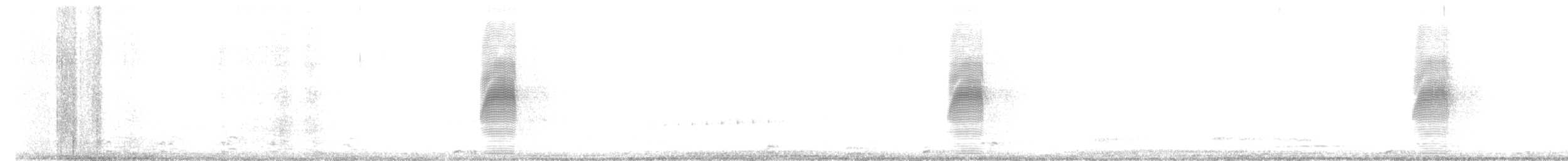 Bécasse d'Amérique - ML632634870