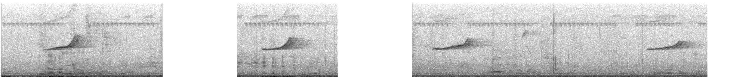 Oriental Magpie-Robin - ML632638644