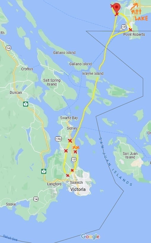 rødvingetrupial - ML632639035