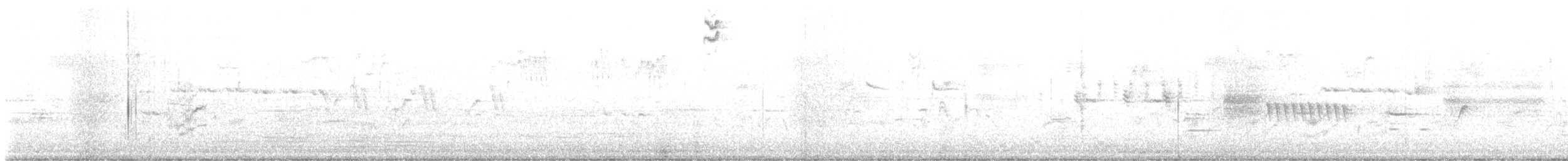 Song Sparrow (heermanni Group) - ML632640806