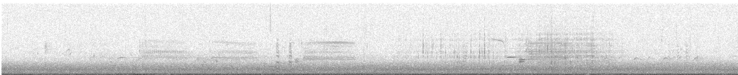Büffelkopfente - ML632647611