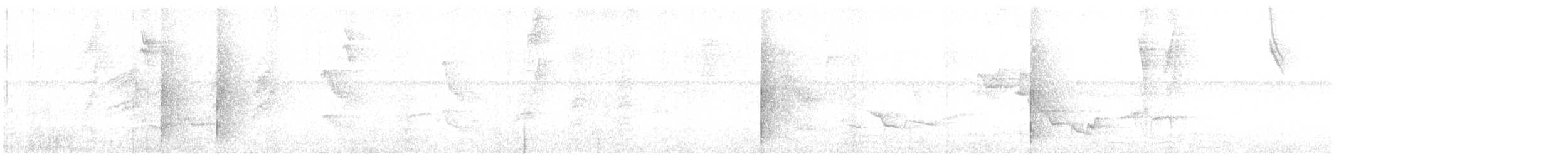 Saltarín Barbiblanco - ML632651429
