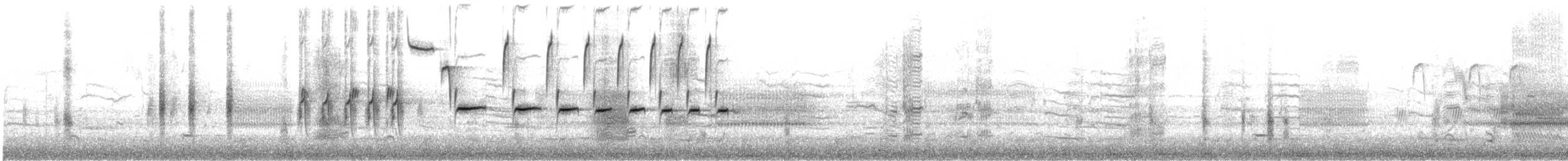 Song Sparrow (melodia/atlantica) - ML632652275