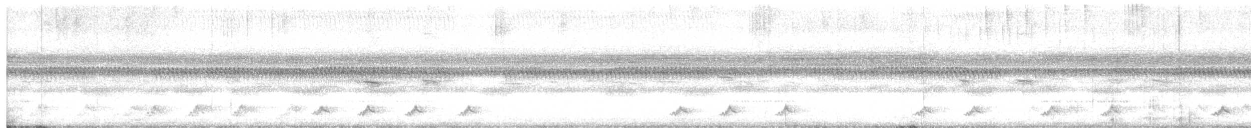 Puerto Rican Nightjar - ML632652608