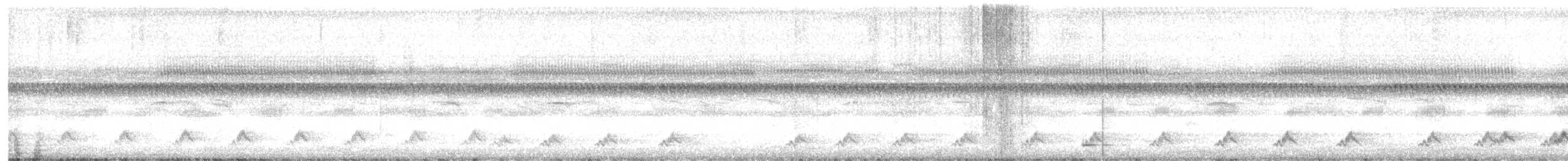 Puerto Rican Nightjar - ML632652614