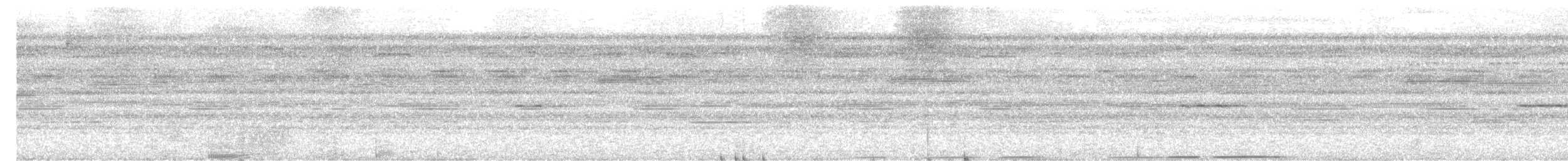 Nocturnal Curassow - ML632655284