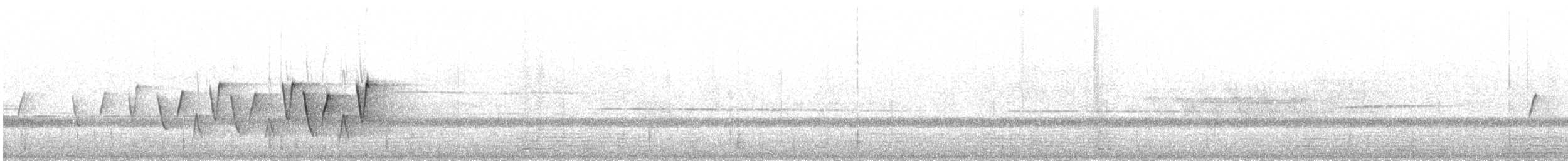 Connecticut Warbler - ML632655633