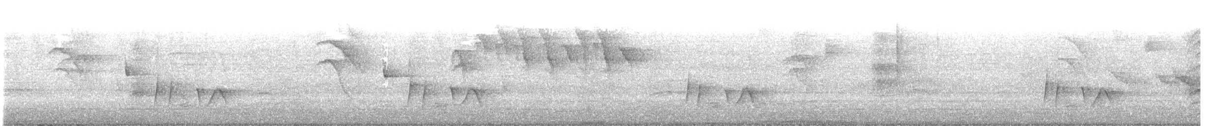 White-eyed Vireo - ML632657159