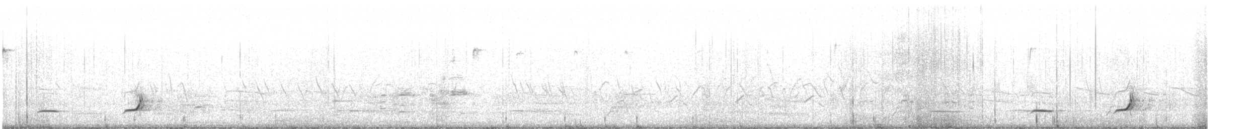Northern Bobwhite - ML632659737