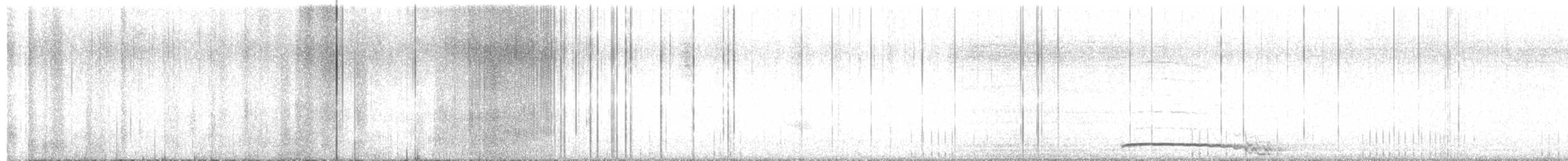 Eastern Screech-Owl (Northern) - ML632661367