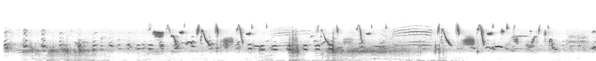 Hellmayr's Pipit - ML632662286